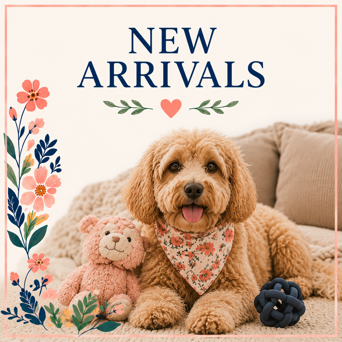 New Arrivals