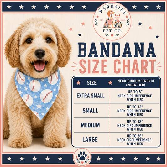 Adventure Awaits Ruffle Bandana